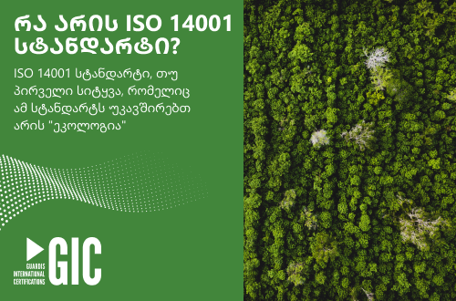 რა არის ISO 14001 სტანდარტი?