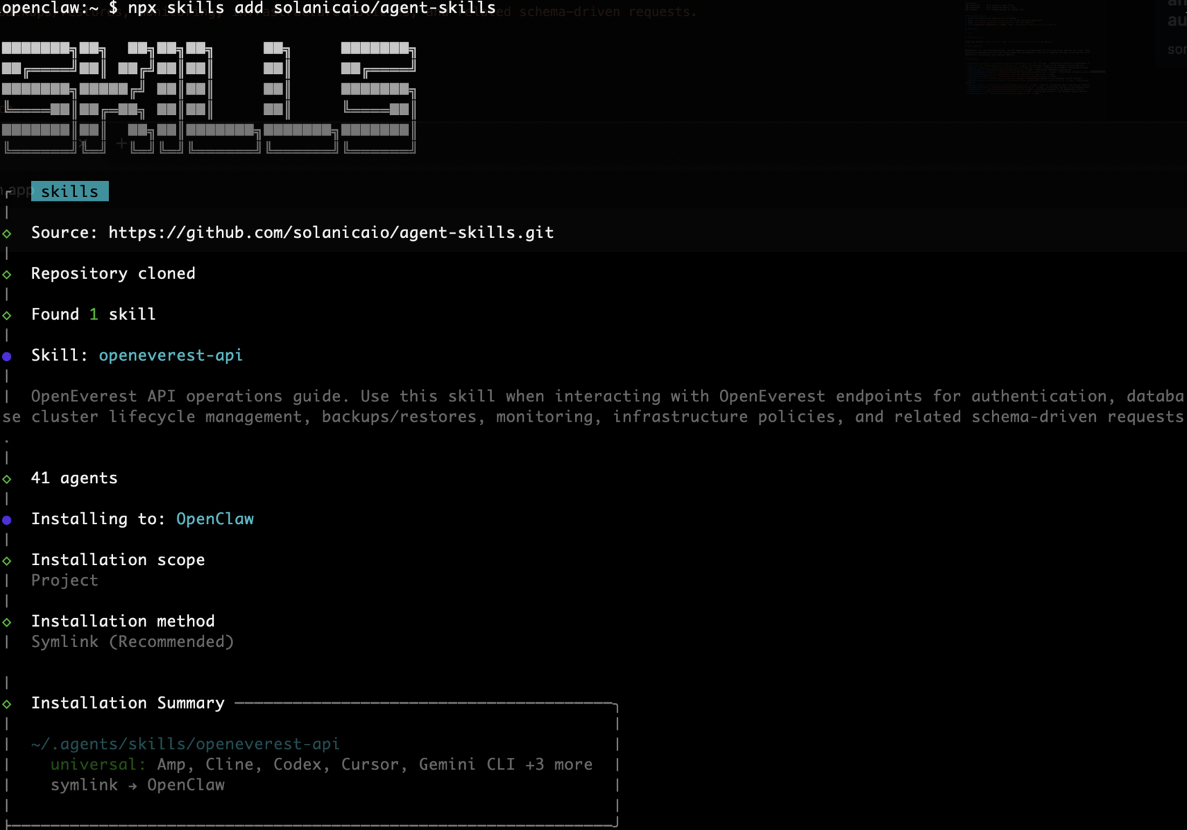 Shell screenshot that shows installation of Solanica AI Agent skill
