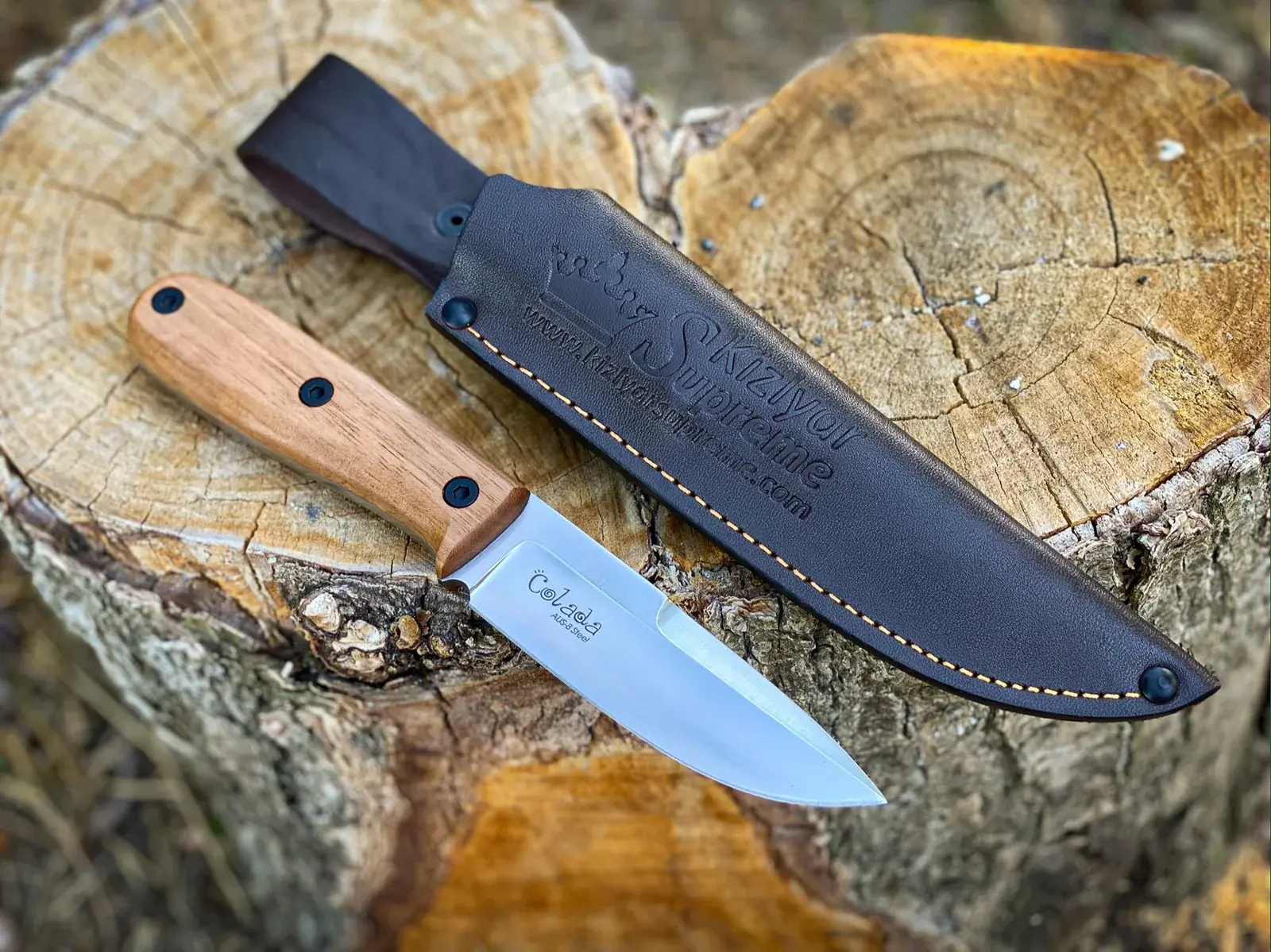Colada Hunting Edition with walnut scales and leather sheath on a tree stump