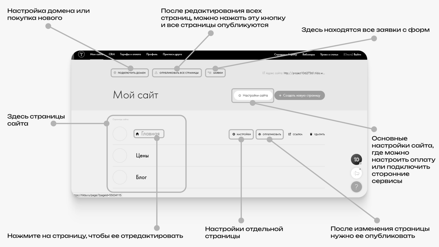 Настройка сайта на Тильде