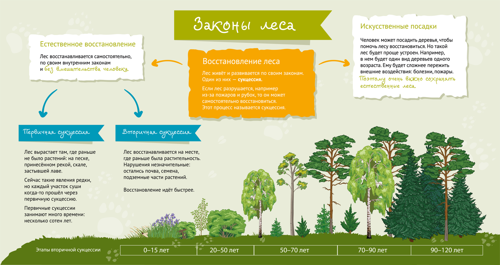 Карта вднх экотропа