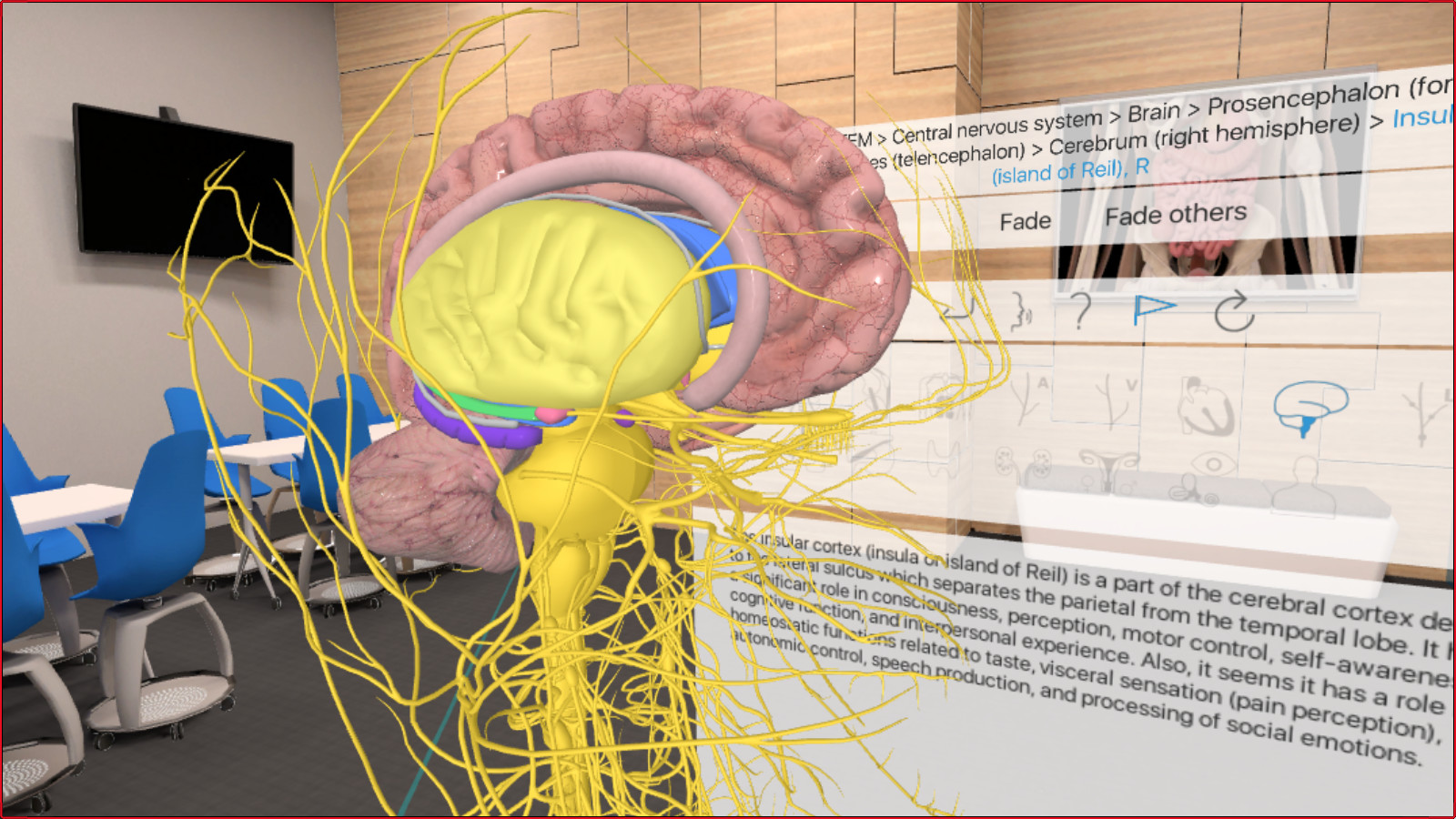 3D Organon VR Anatomy