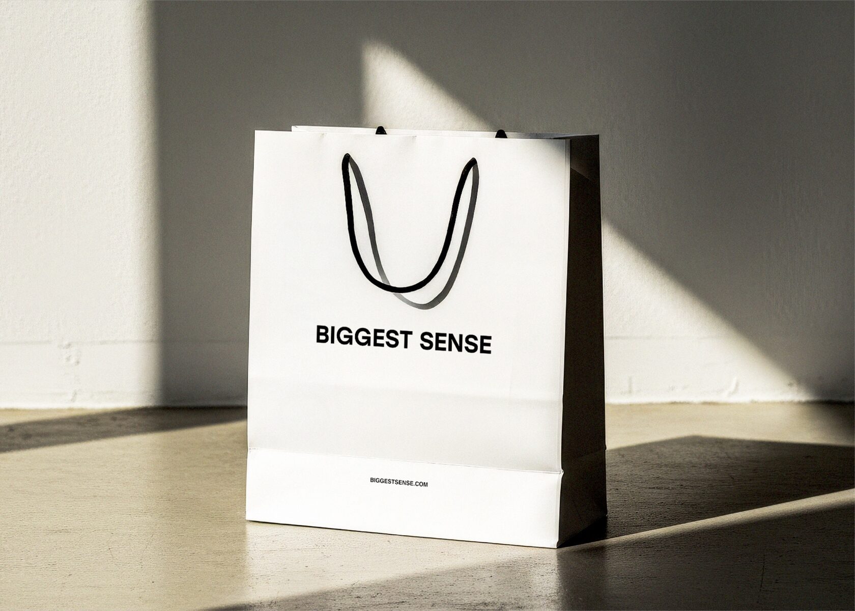 Пакет Biggest Sense