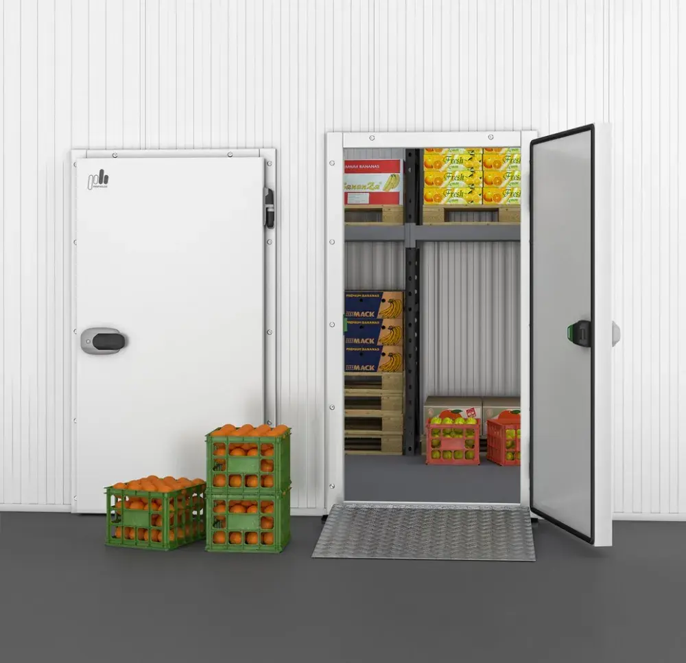 Откатная дверь Оптима