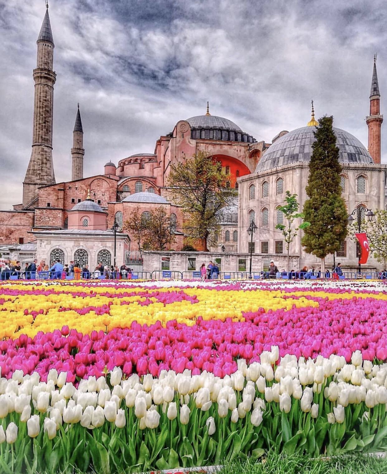 Султанахмет Стамбул тюльпаны