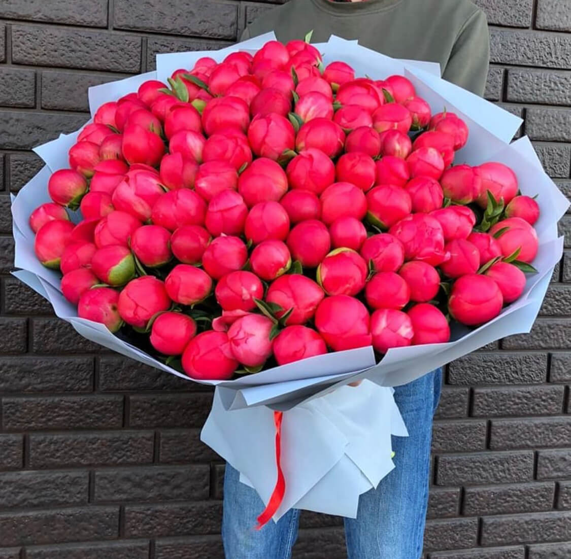 Coral Sharm peonies 101