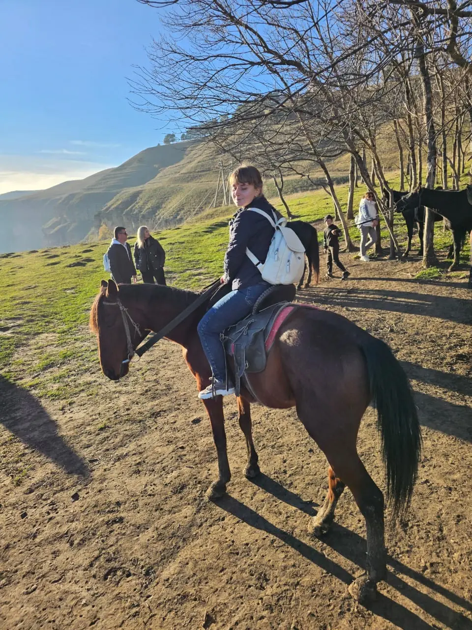 Конная прогулка верхом на лошадях