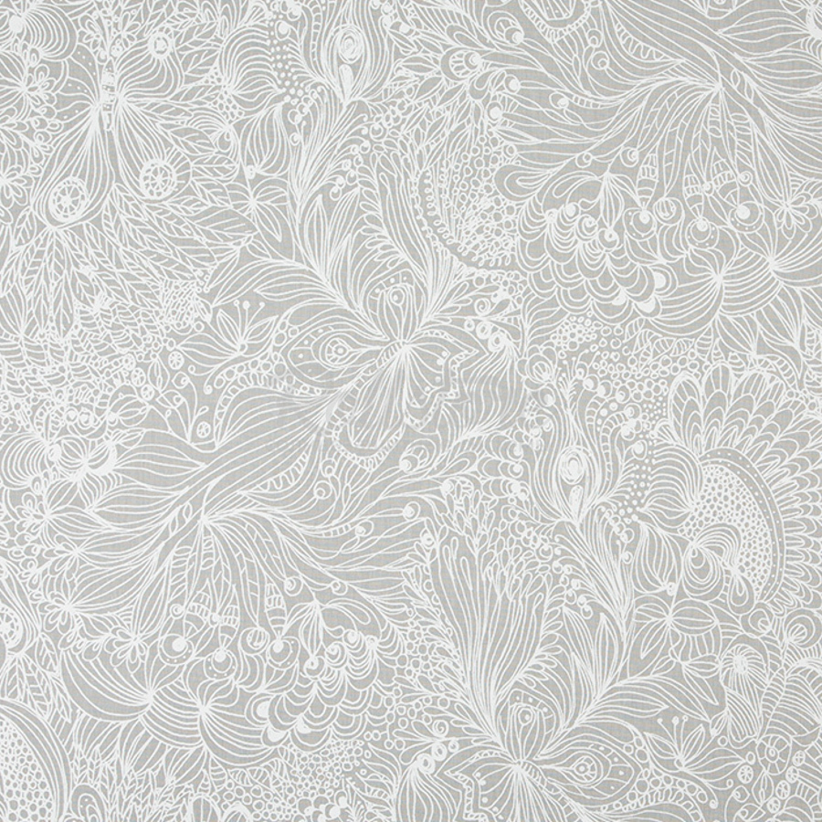 Анже апельсин