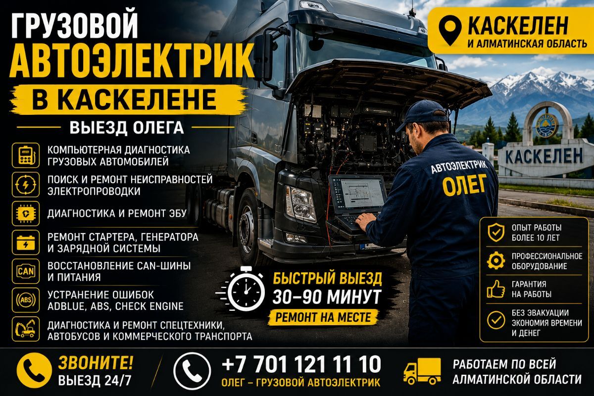Грузовой автоэлектрик в Каскелене — выезд Олега