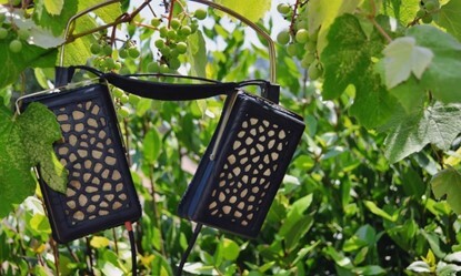 Изображение выглядит как на открытом воздухе, дерево, растение

Автоматически созданное описание