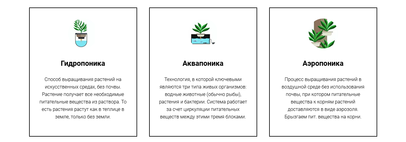 Гидропонная установка для выращивания зелени своими руками: схема, устройство, раствор