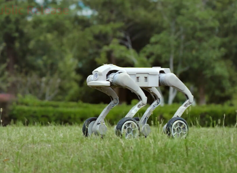 Четвероногий робот Inchbot L1-W EDU на профориентационном стенде выставки