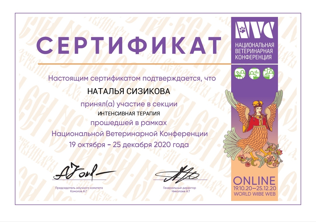 Сертификат об обучении 19