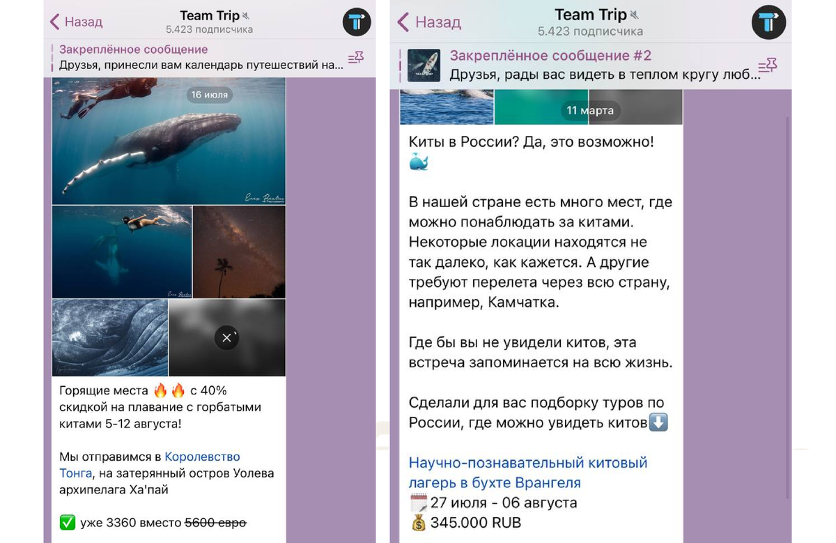 Посты Telegram-канала Team Trip: подборки туров с датами и ценами. На скриншоте в канале 5 423 подписчика.