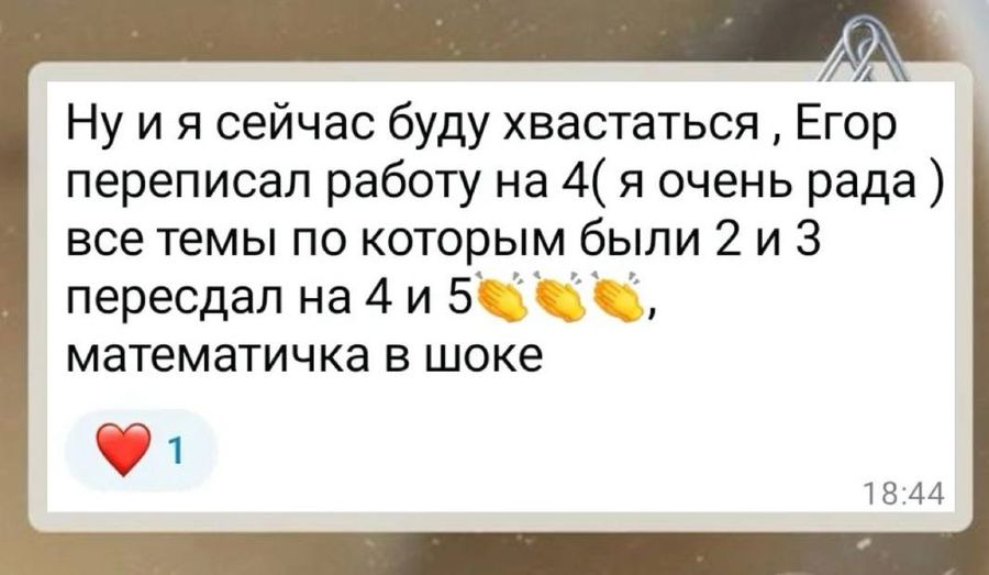 Отзыв ученика или родителя о занятиях в ПРО100КЛАСС