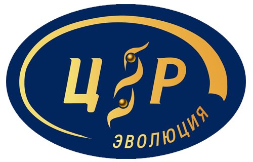 Центр регион. Центр и регионы. Регион-центр ООО. Центр и регионы картинка. 33 Регион логотип.