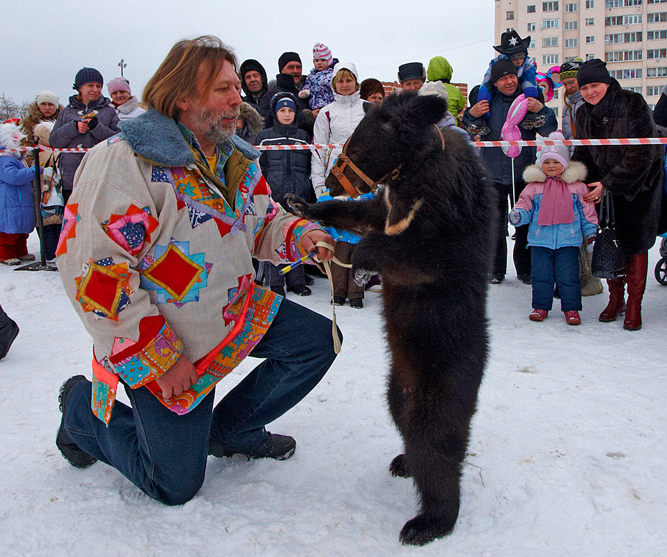 Рисунок медвежий праздник