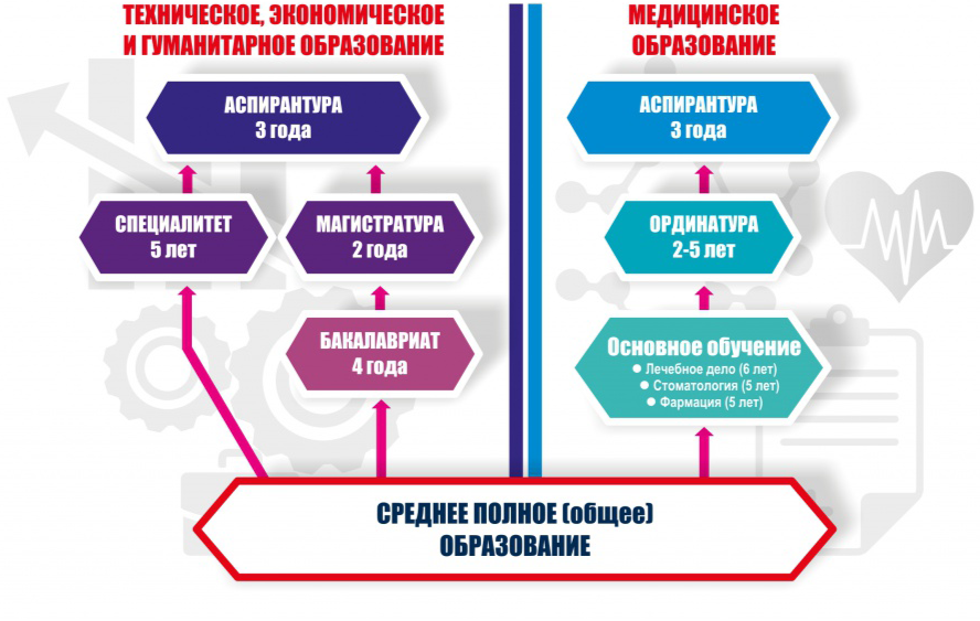 Медицинское после 1 высшего. Что такое аспирантура магистратура бакалавриат ординатура. Специалитет ординатура аспирантура. Ординатура и магистратура в чем разница. Ординатура магистратура бакалавриат разница.