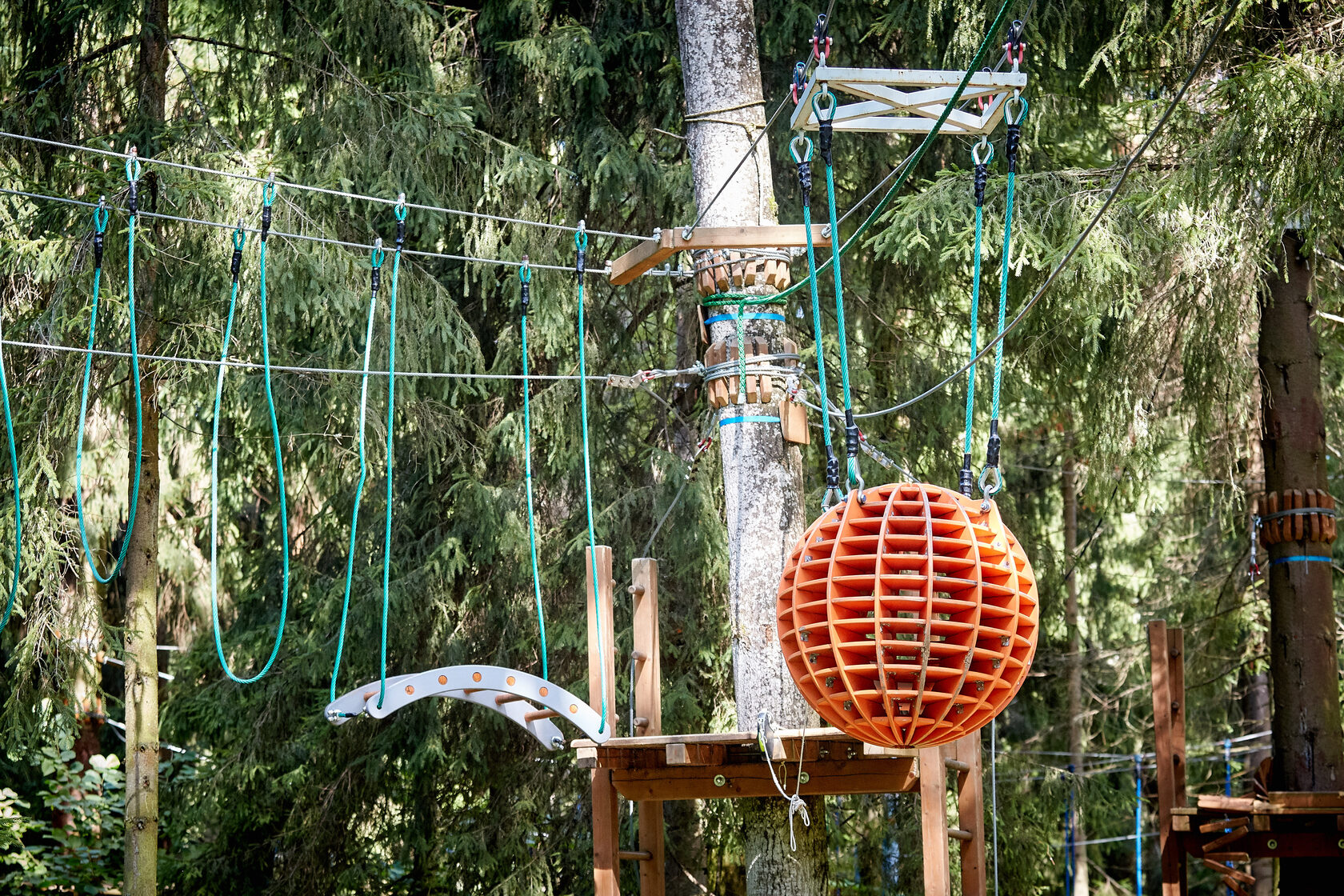 Сравнение типов веревочных парков