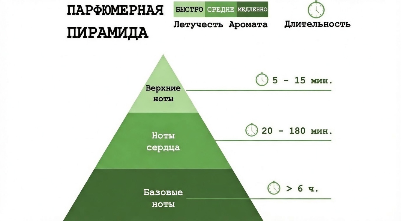 Длительность звучания нот аромата