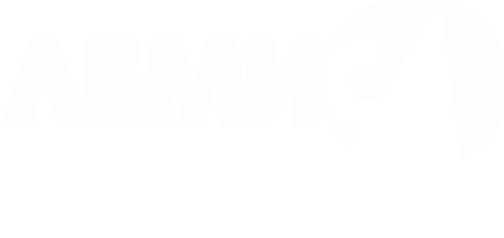 Лого ООО ТД "Лемис" с прозрачным фоном в формате png