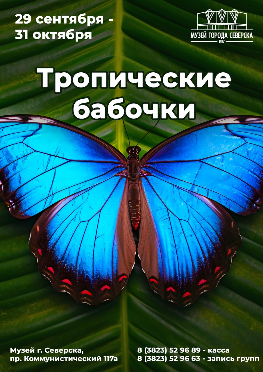 Интересные факты о бабочках.