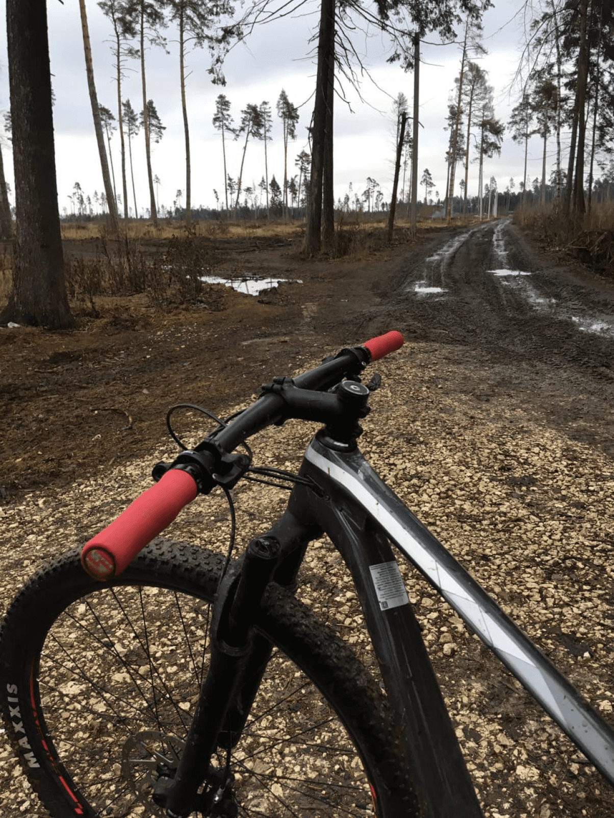 Велоклуб LeonBikeRacing. Совместные кэмпы, заезды и соревнования