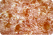 Parallel Polarized Light