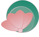 Шарафутдинова О. А.