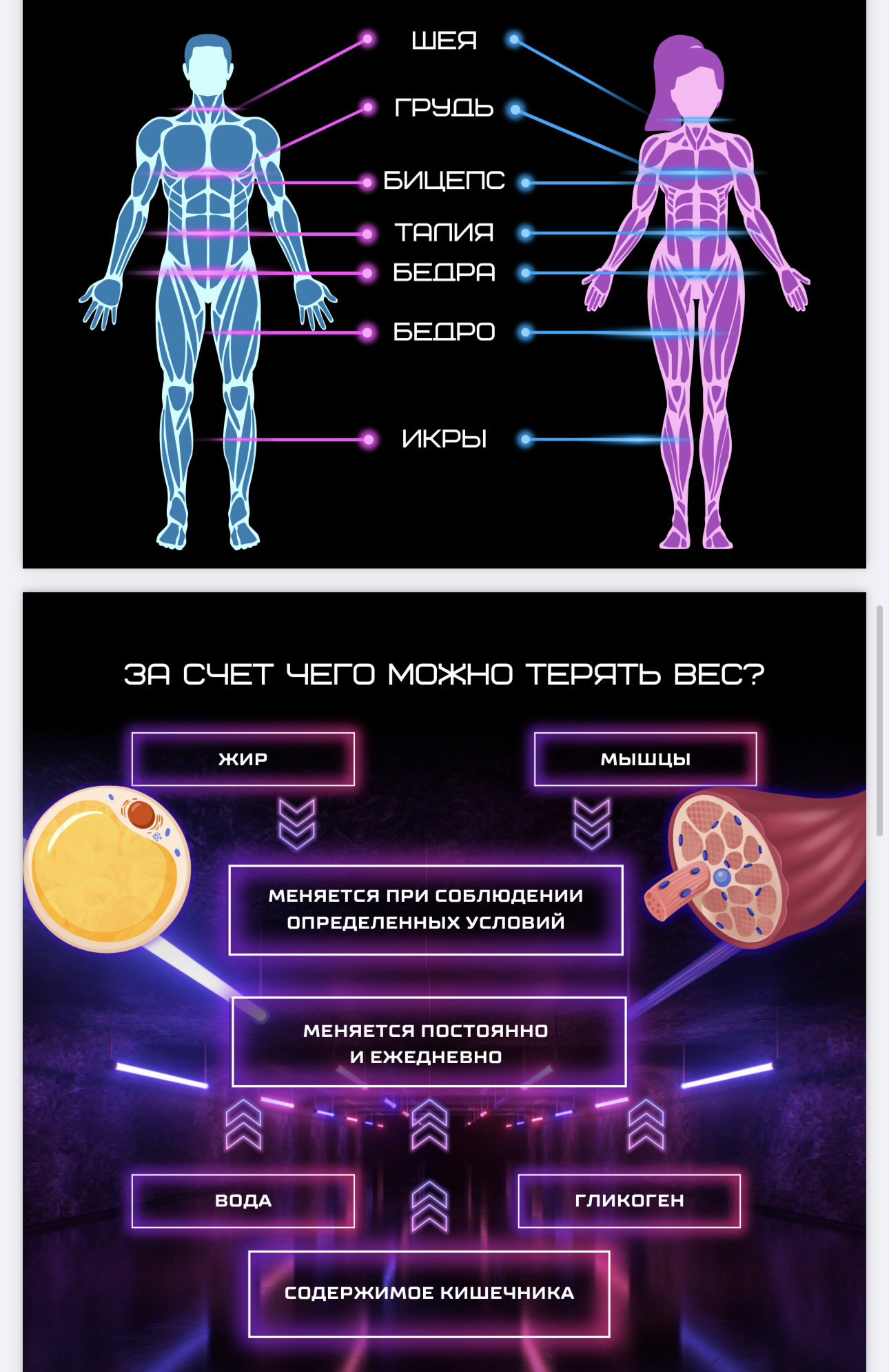 FiberFood - Recomposition