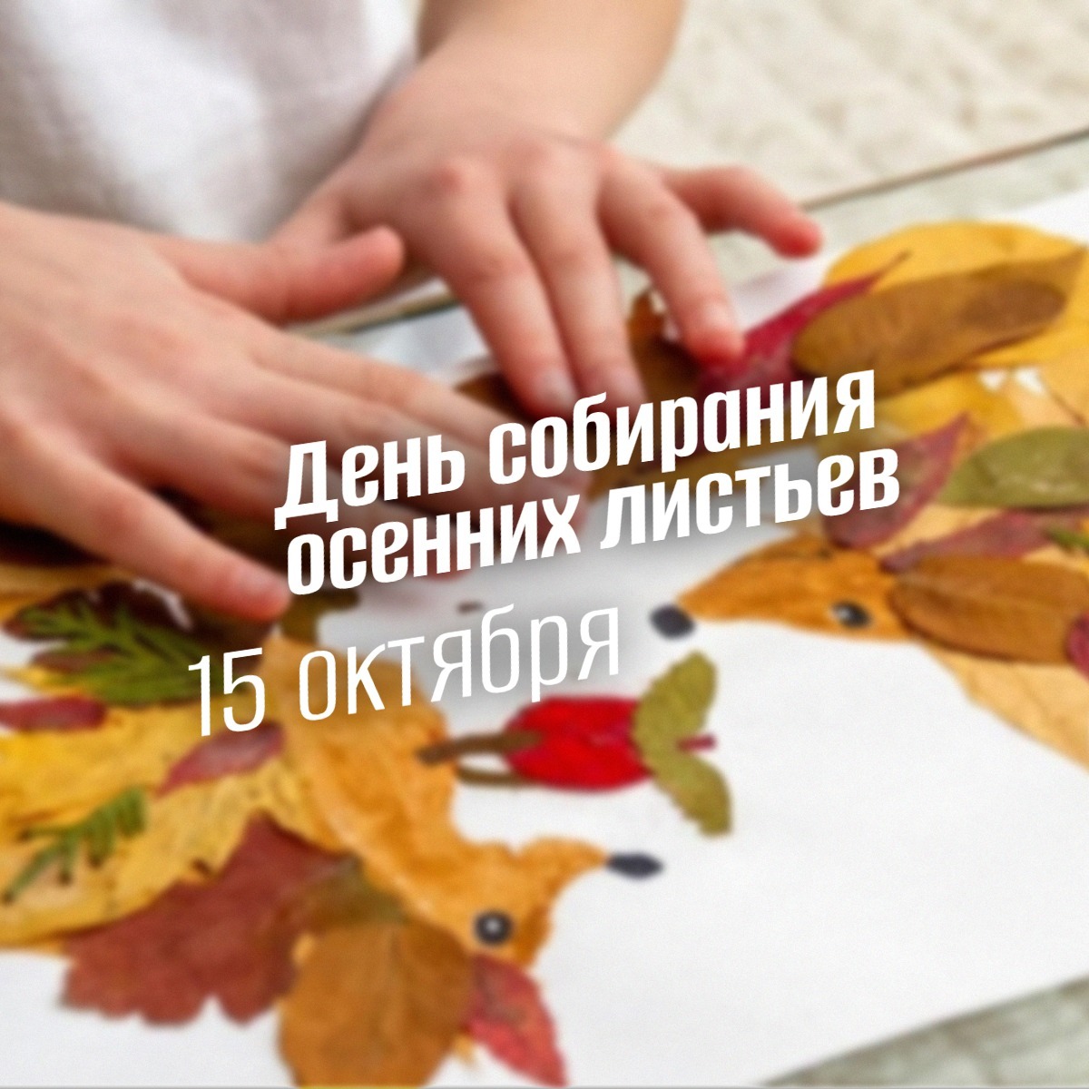 15 октября 2025 День собирания осенних листьев geek hostel prazdniki