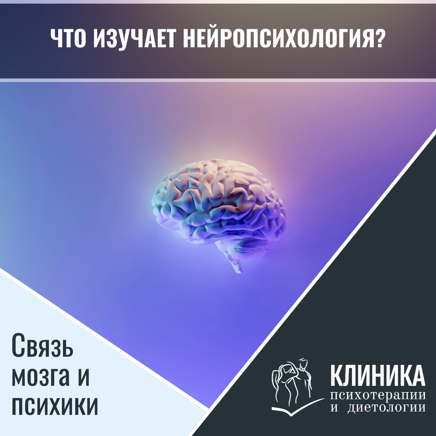 Что изучает нейропсихология? Связь мозга и психики