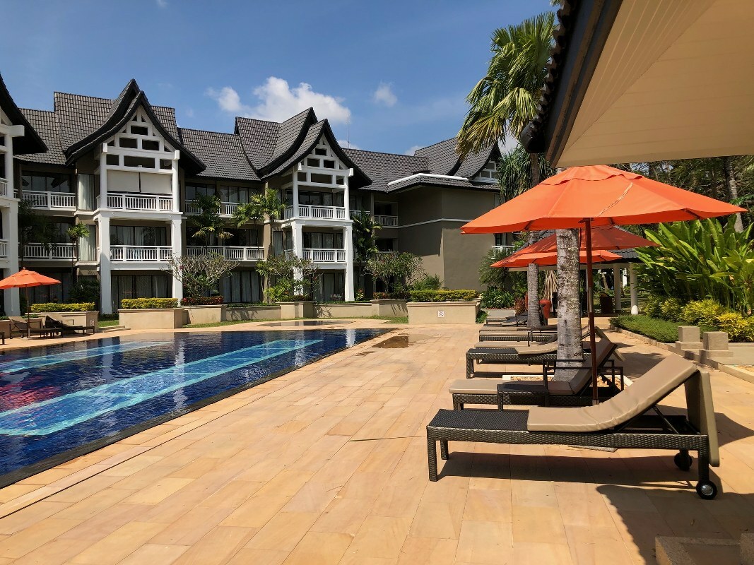 Allamanda phuket