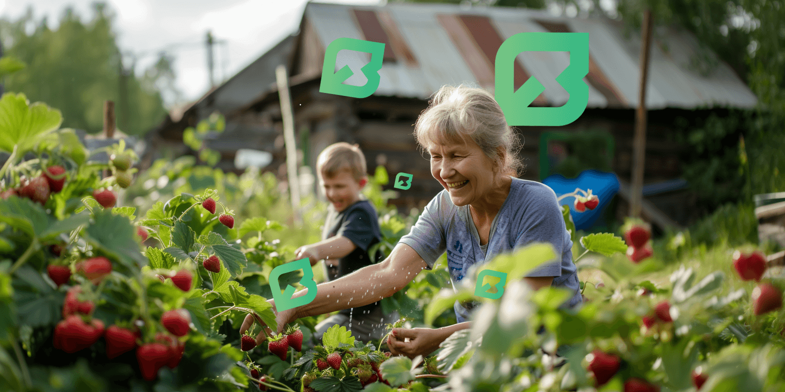 Рассада клубники: фермерская и профессиональная | Питомник Ваганова в  Иванове