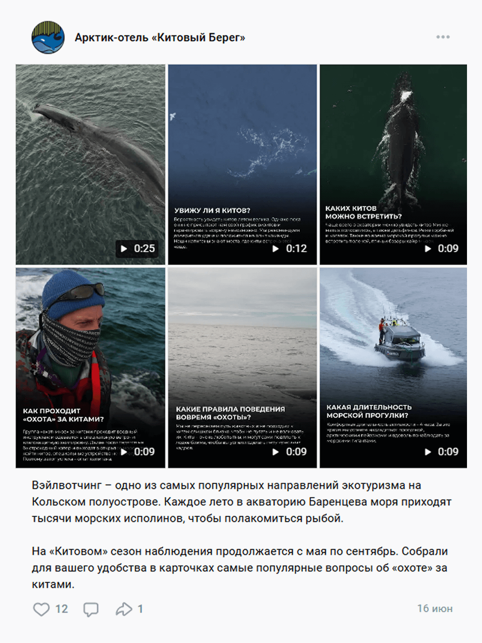 Ролики о наблюдении за китами в соцсети отеля «Китовый берег»