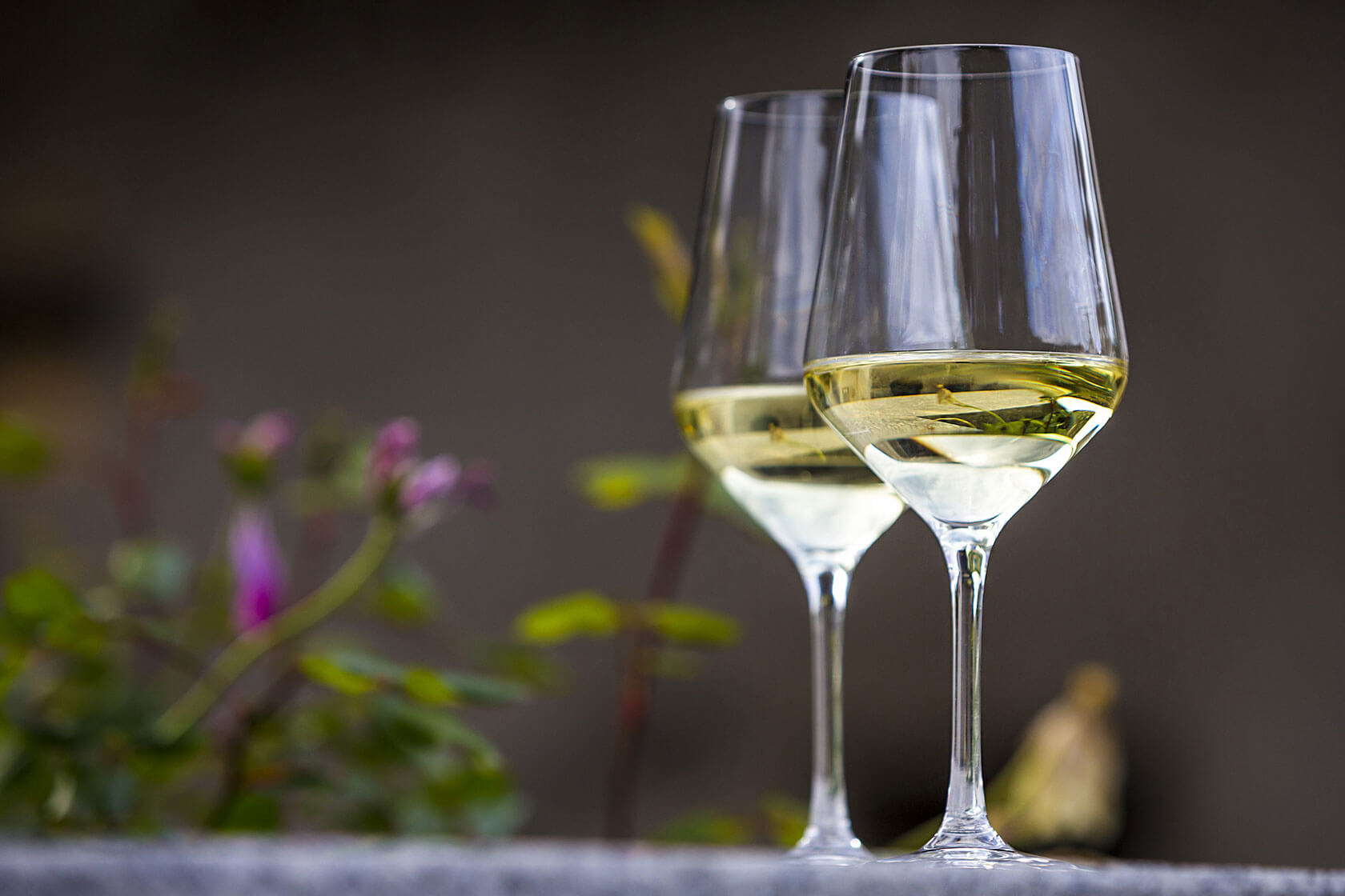 Wine state. Wine state
