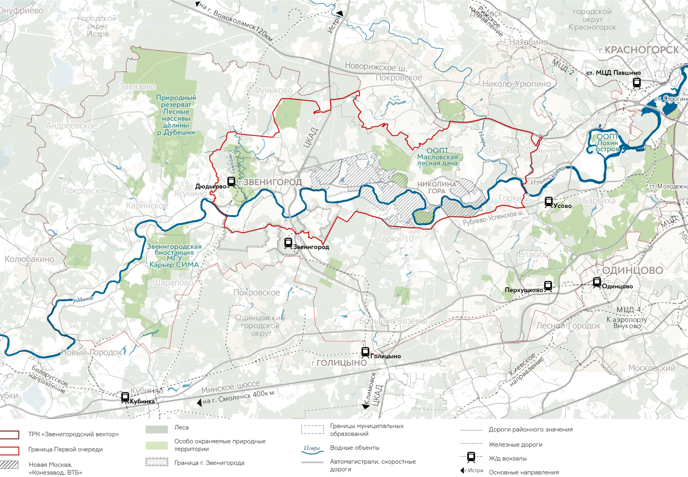 Звенигородский вектор проект