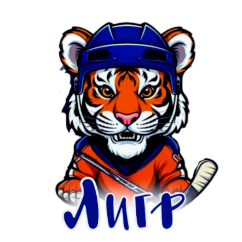 Программа адаптивного хоккея