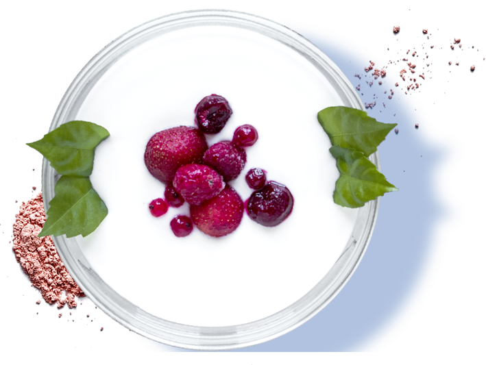  сухой сыр, сырный порошок