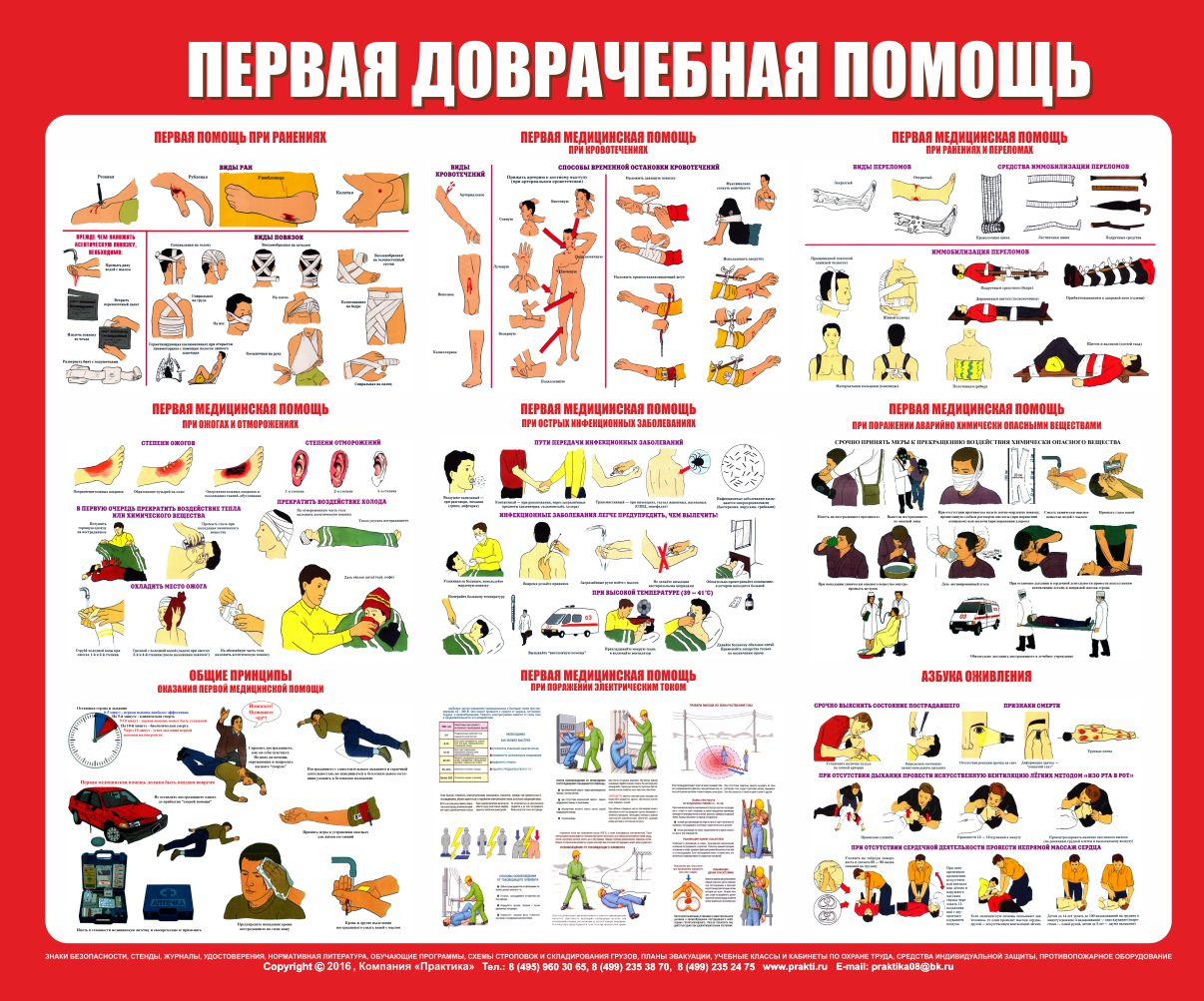 Универсальная схема оказания первой помощи на месте происшествия охрана труда кратко