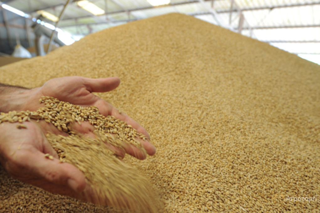 Сельское хозяйство