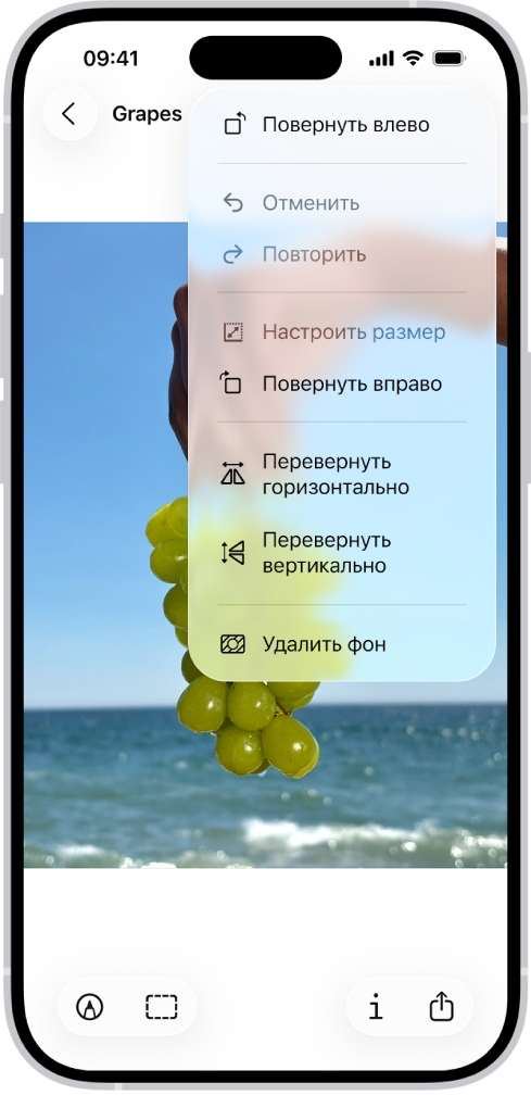 Возможности приложения «Просмотр» на iPhone, изображение №4