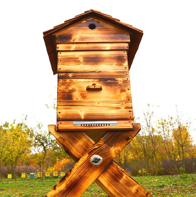 Идеи: Поделка улей с пчелами - фото