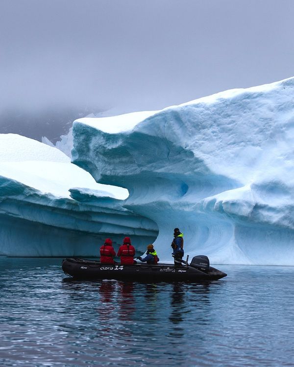 Прогулки на Zodiac среди айсбергов