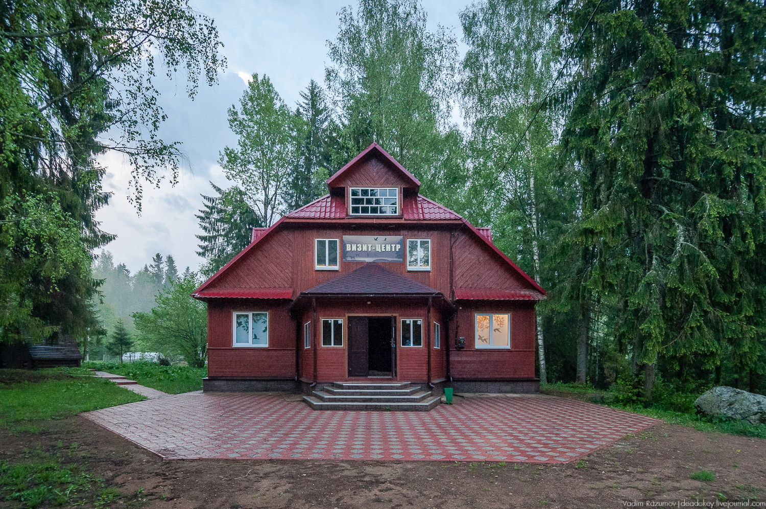 Центральный лесной государственный биосферный заповедник. Центрально Лесной заповедник Нелидово. Центрально-Лесной заповедник Тверская область. Заповедник Нелидово Тверская область. Центральный Лесной биосферный заповедник Тверская область.