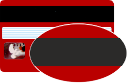 Магнитная полоса