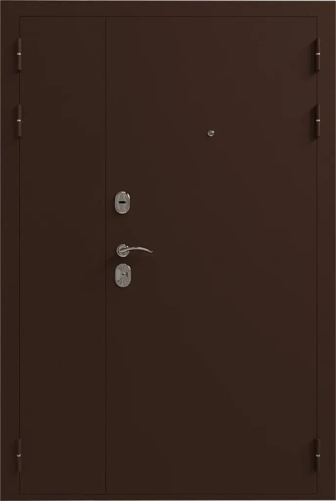 Леда двустворчатая 1100*2050 — Снаружи