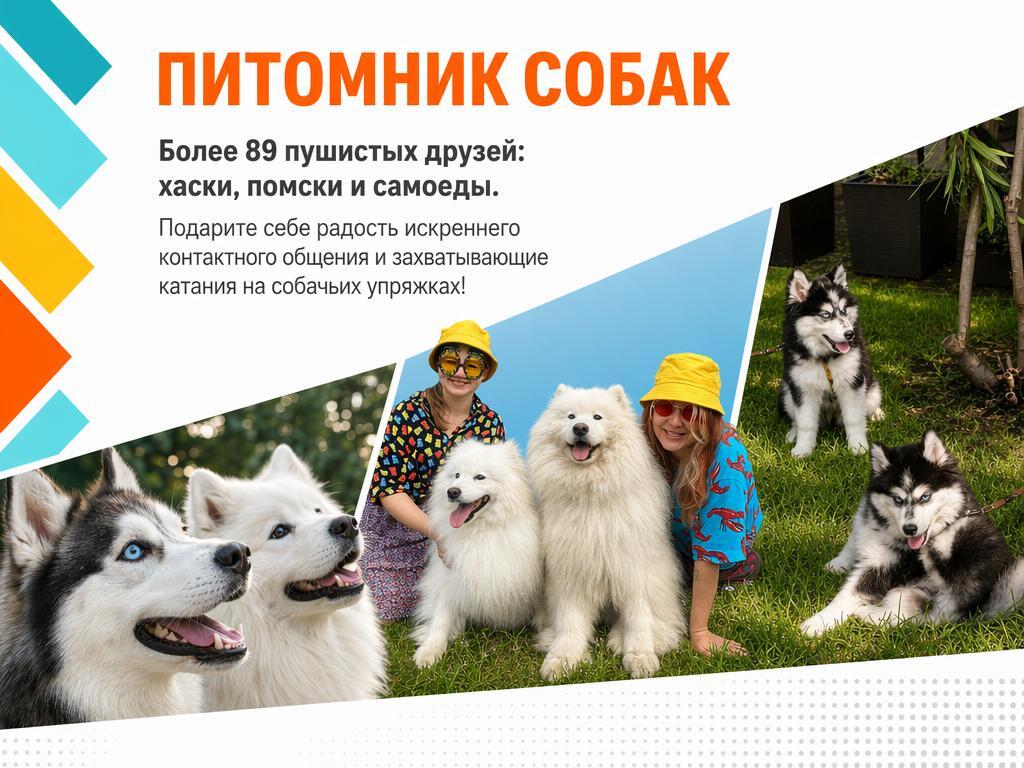 Питомник хаски и самоедов
