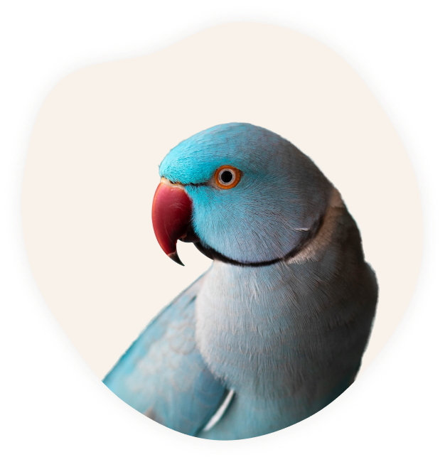 Ветеринар эксперт — ветеринарные услуги на дому в Москве