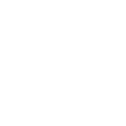 Портретная экспертиза